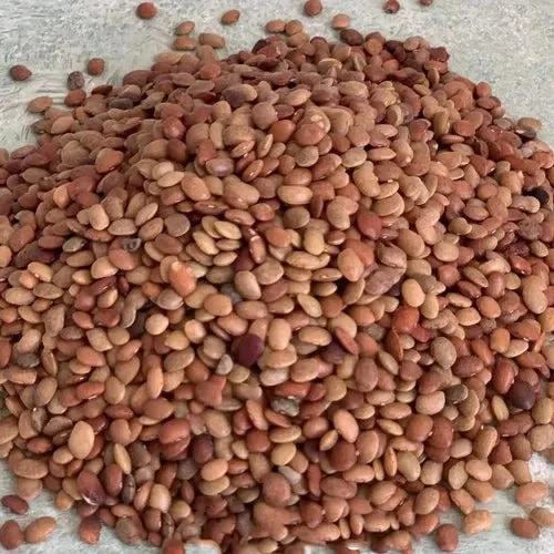 Kulthi / Horse Gram